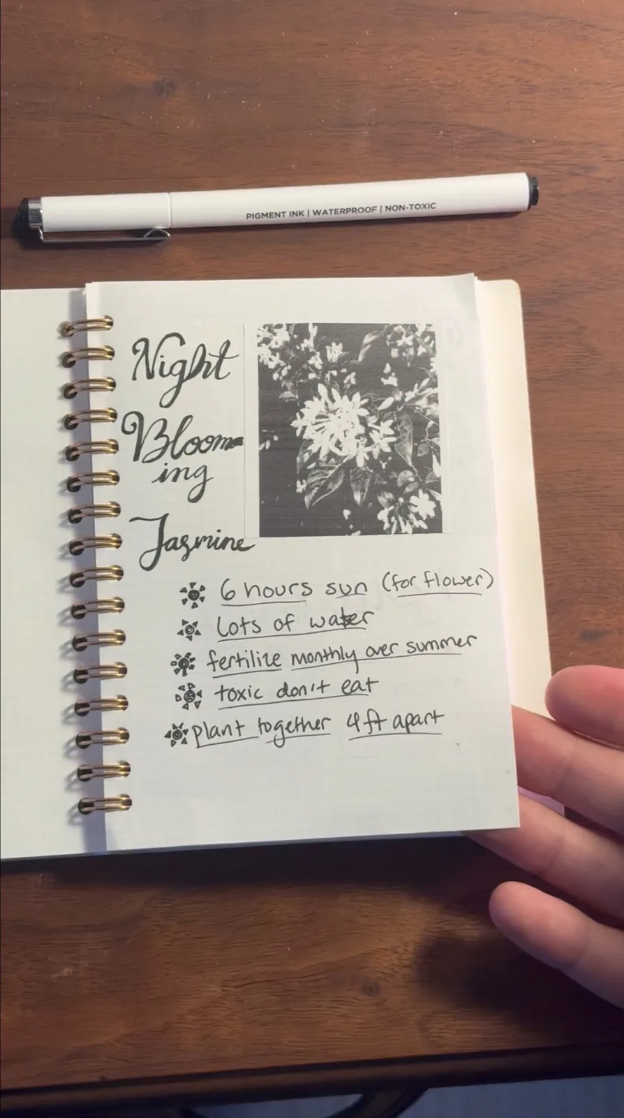 Plant journal page pairing a flower photo with handwritten observations